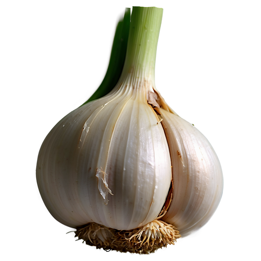 Garlic Sprout Png Bps