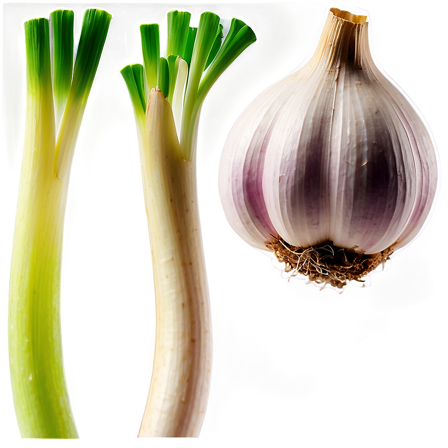 Garlic Sprout Png Wca75