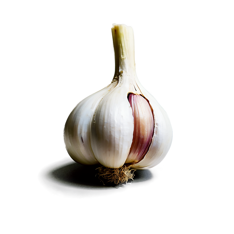 Garlic Theme Png Yhg71