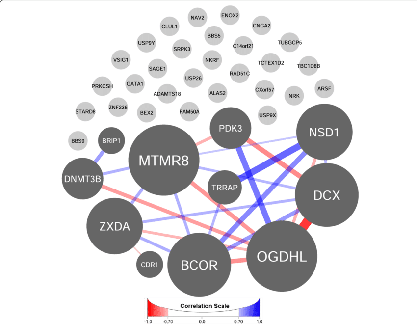 Gene Interaction Network Analysis