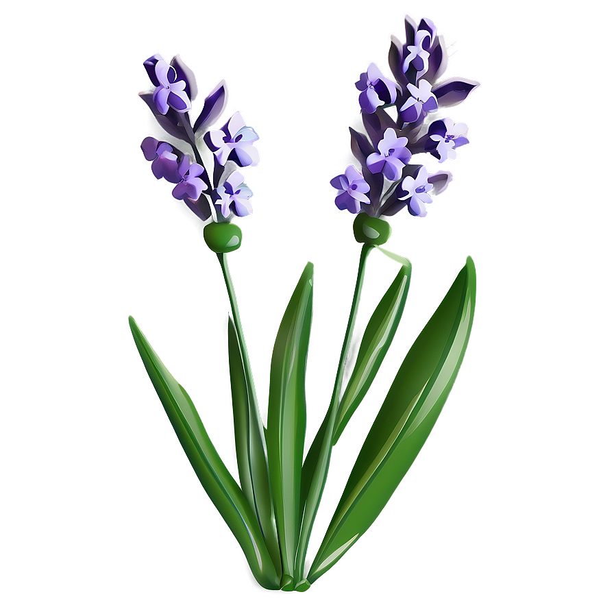 Gentle Lavender Sprig Png 06252024