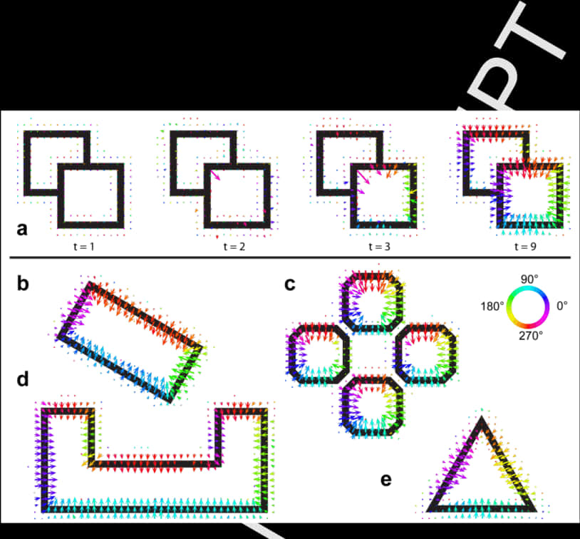 Geometric Borderline Design Progression