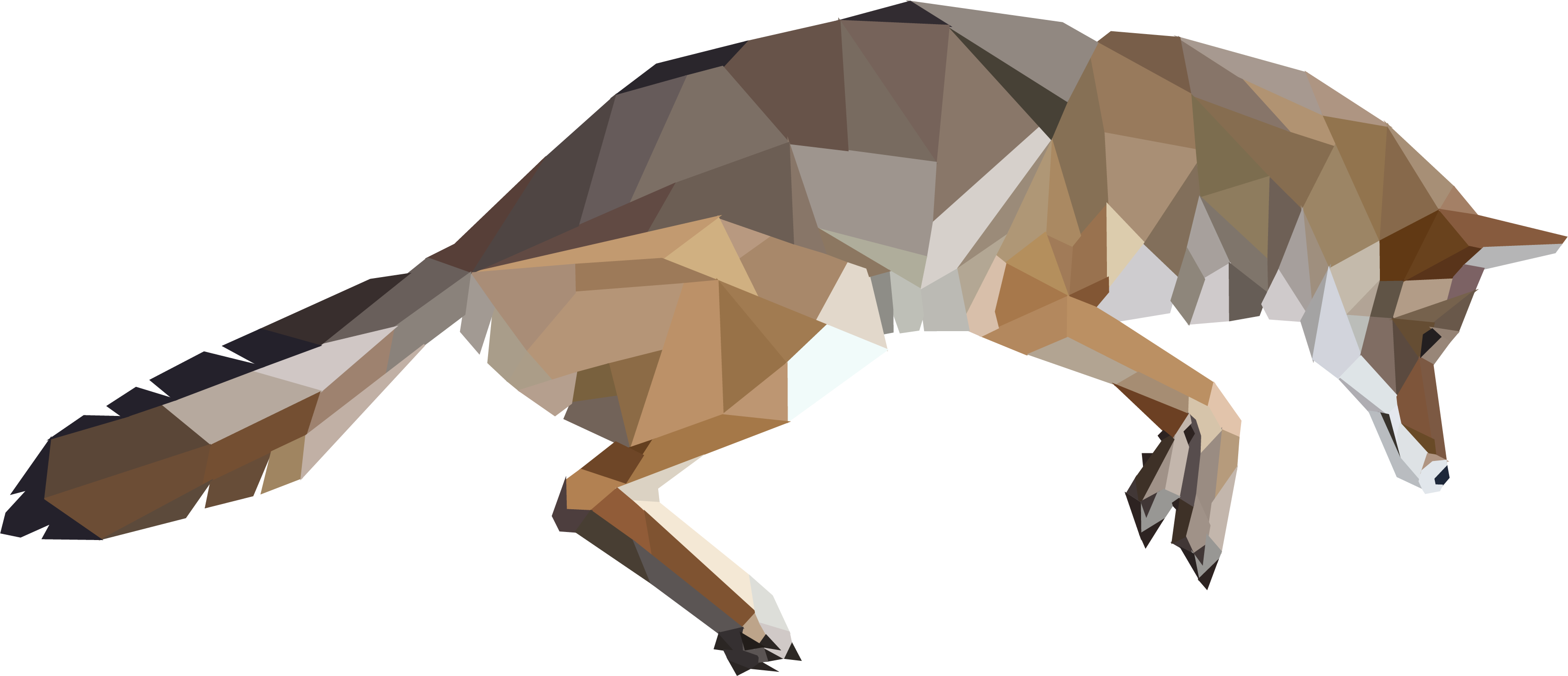 Geometric Coyote Artwork