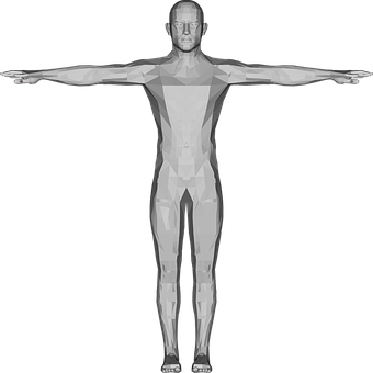 Geometric Man Model Xray Style