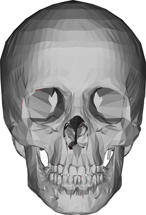 Geometric Skull Rendering