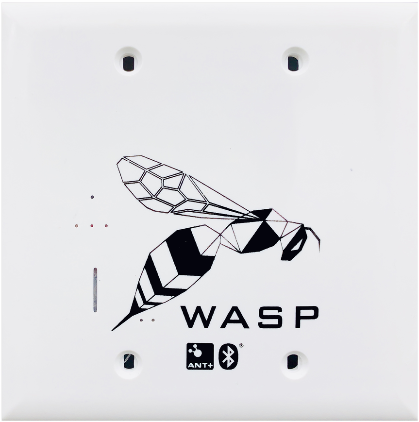 Geometric Wasp Graphicon Electrical Plate