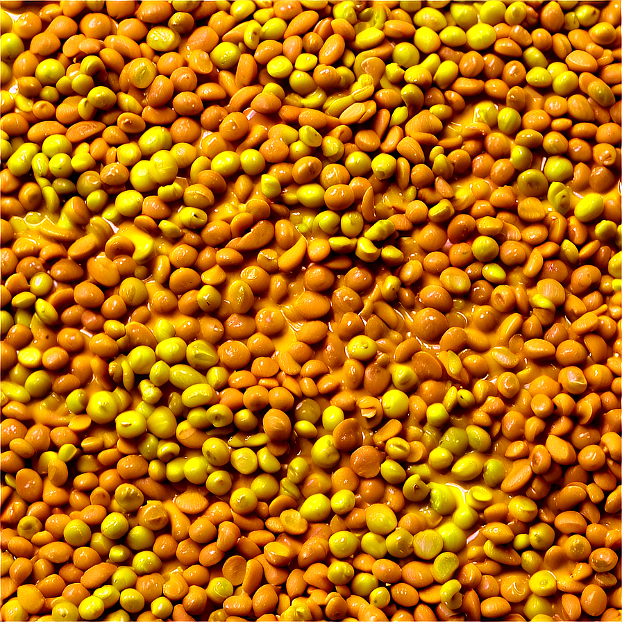 German Mustard Png 05242024