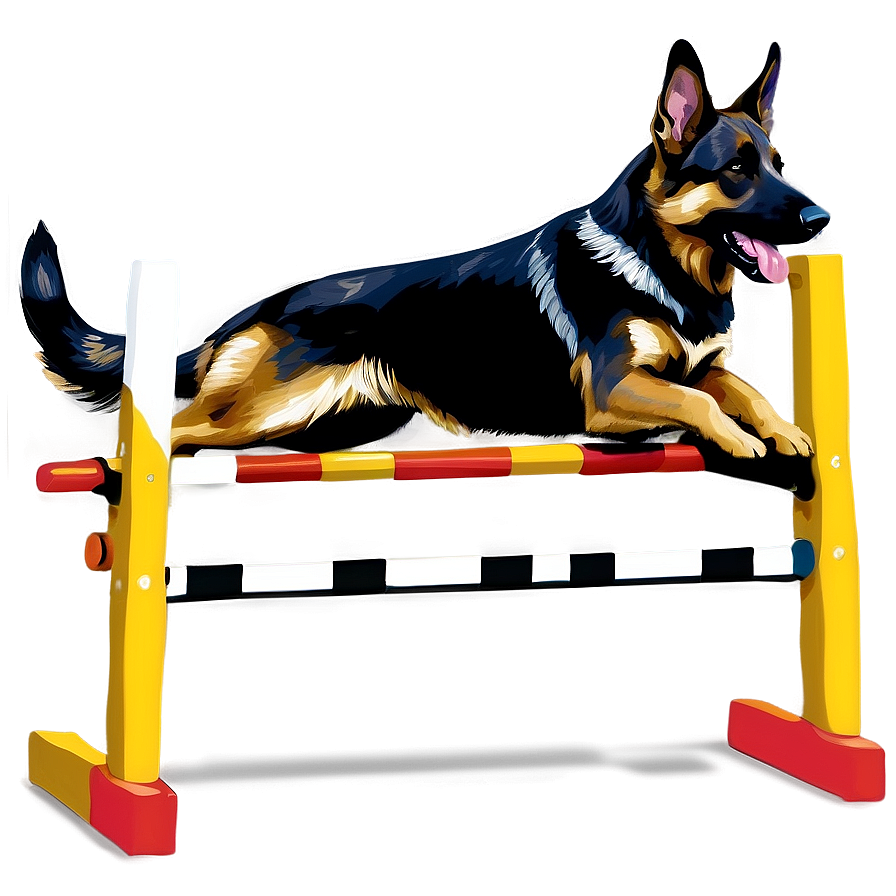 German Shepherd Agility Png 12