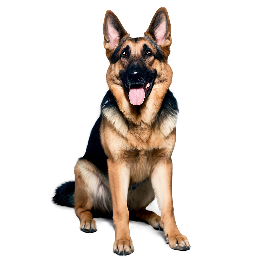 German Shepherd Trick Png Osw15