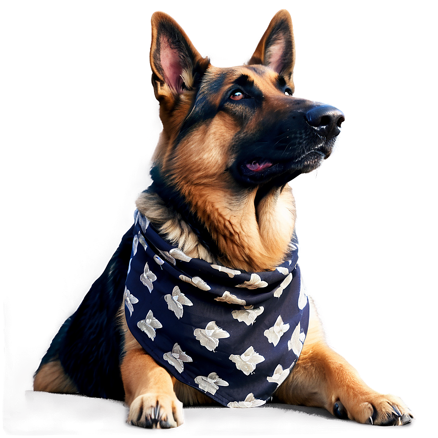 German Shepherd With Bandana Png Ixo