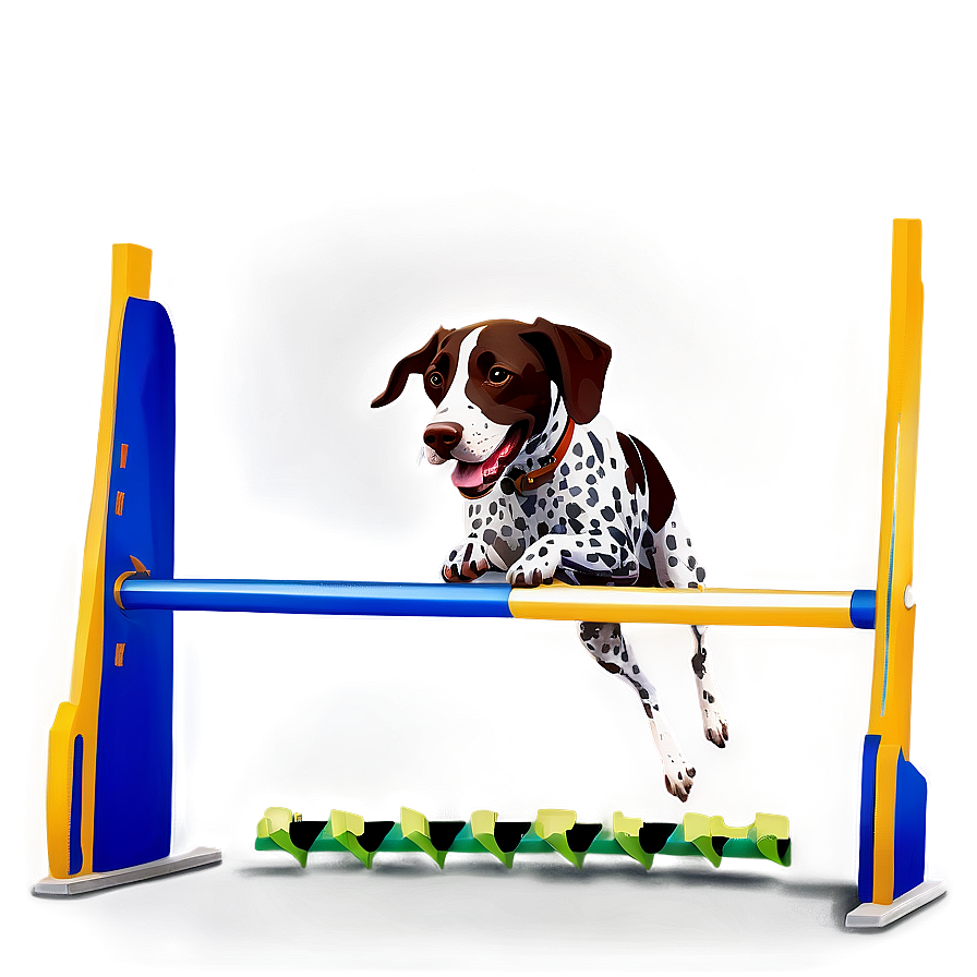 German Shorthaired Pointer Agility Png Cxp