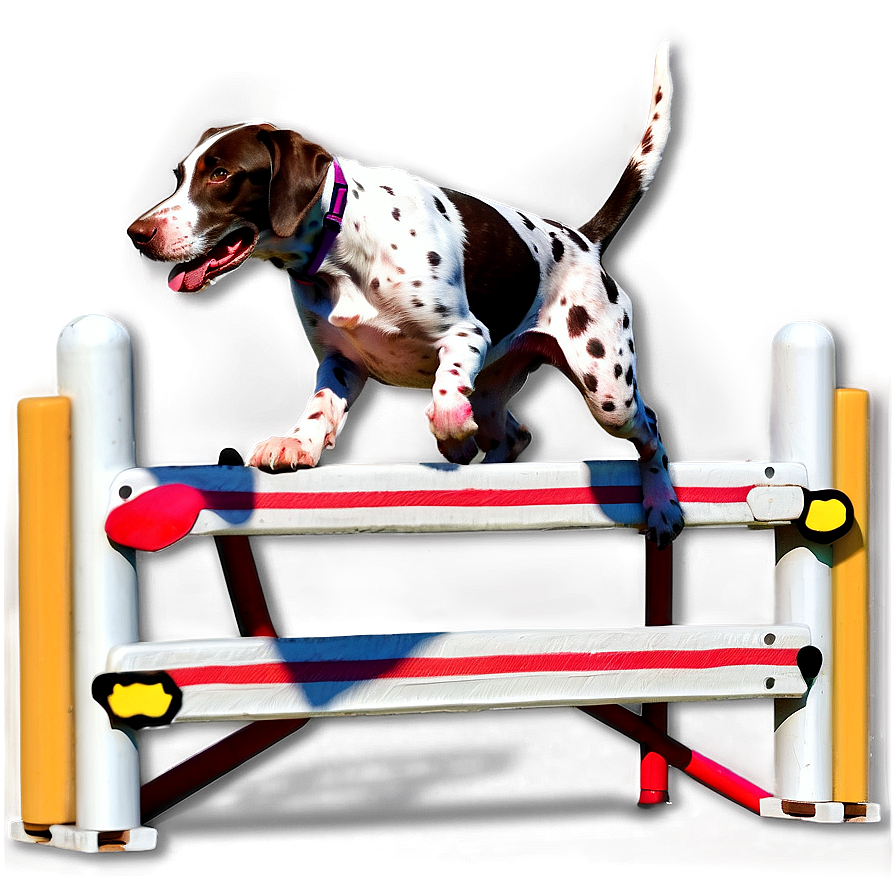 German Shorthaired Pointer Agility Png Ken