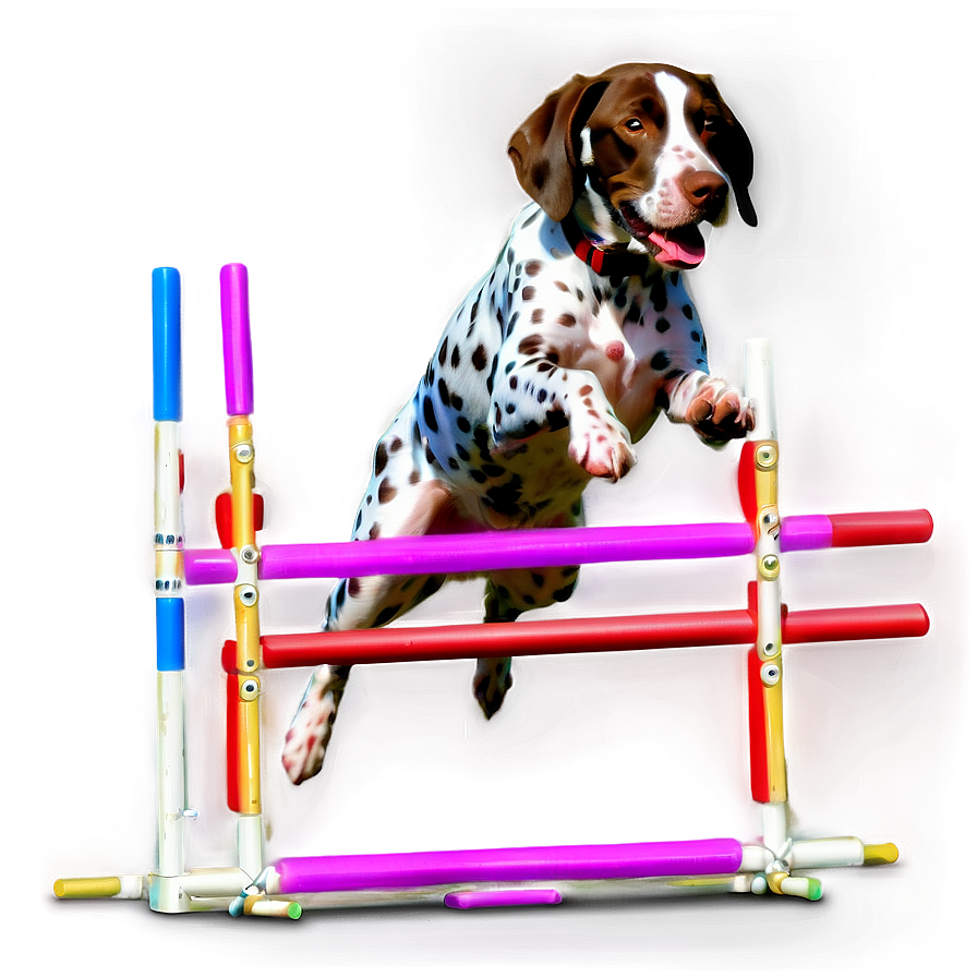 German Shorthaired Pointer Agility Png Woj