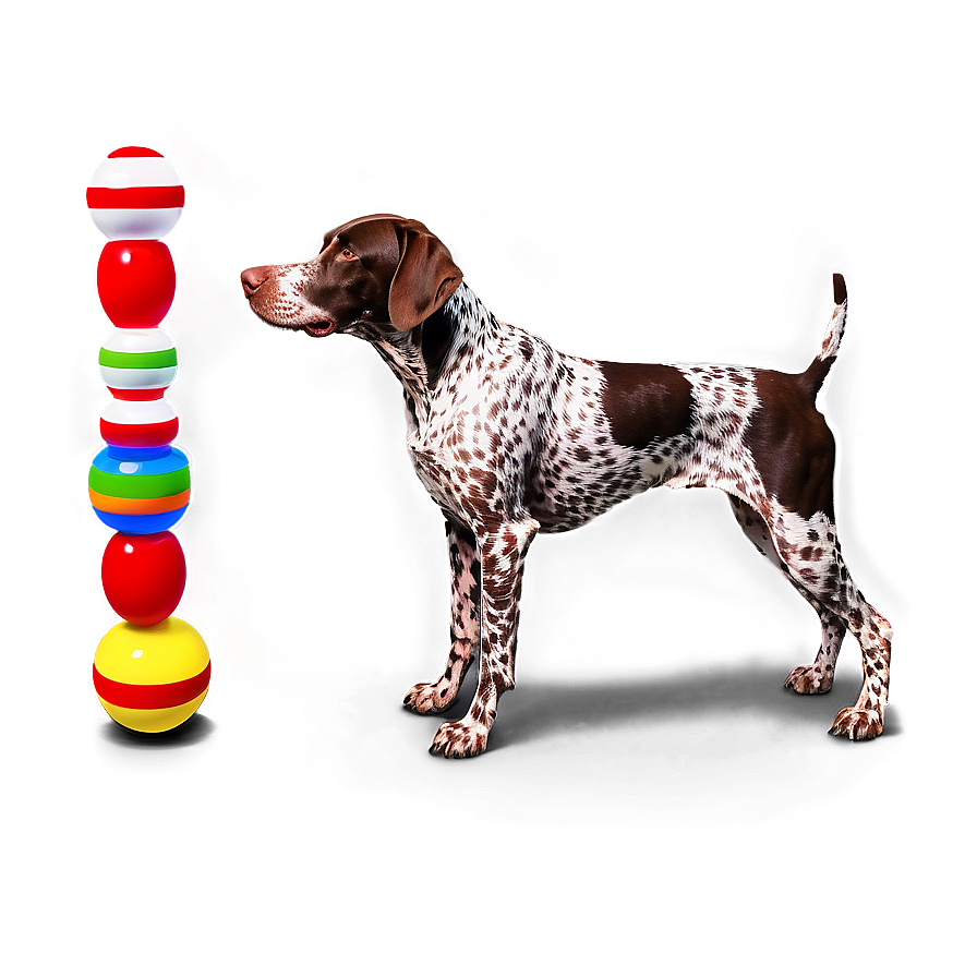 German Shorthaired Pointer With Toys Png Yud