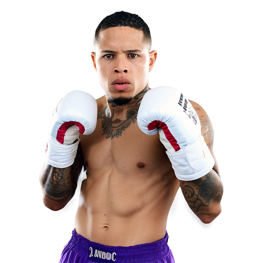 Gervonta Davis Powerful Jab Png 34