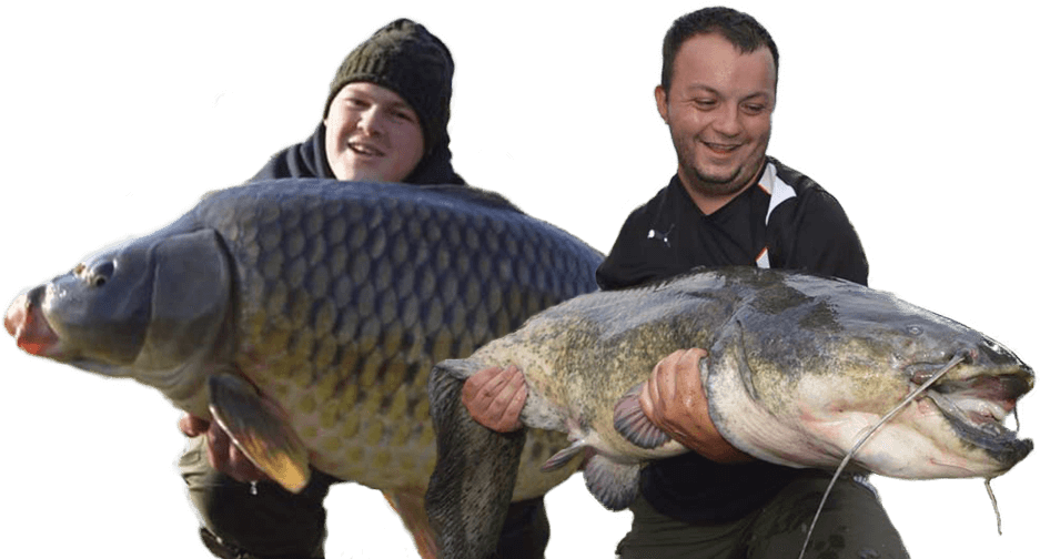 Giant Catfish Caughtby Fishermen.png