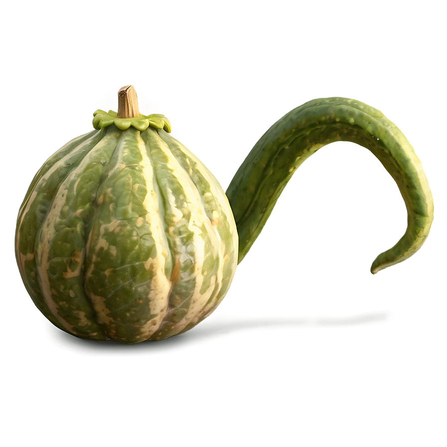 Giant Gourd Png 06292024