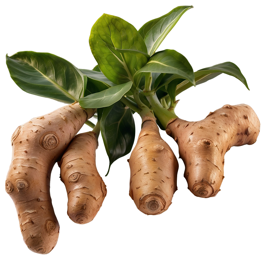 Ginger Vegetable Garden Png Ufe