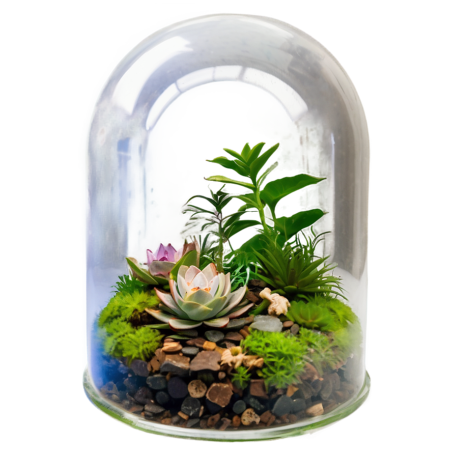 Glass Dome Terrarium Png Urg