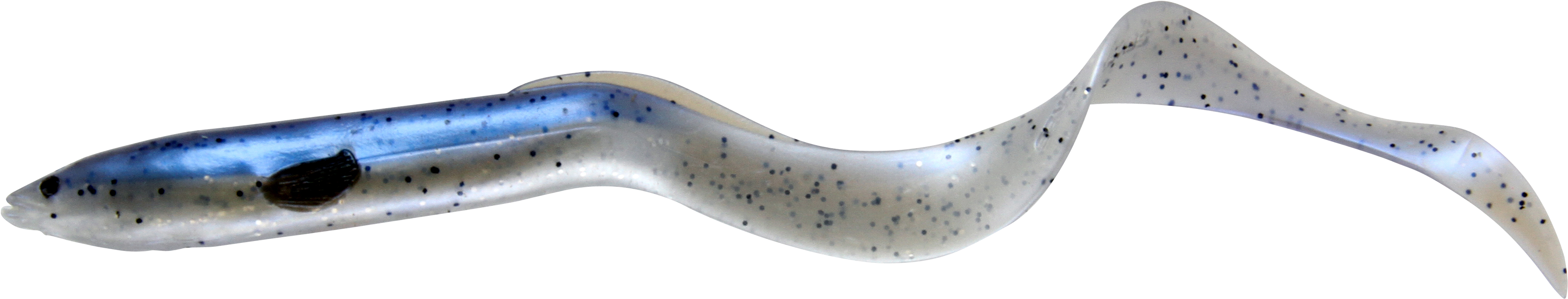 Glass Eel Transparent Background