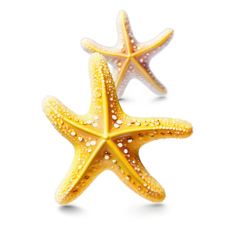 Glittering Yellow Starfish Png Rmq