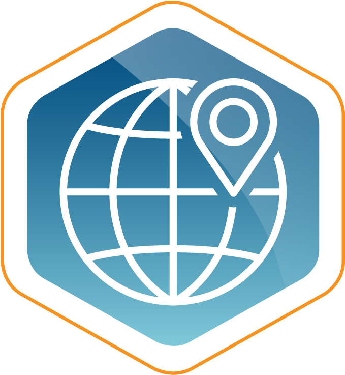 Global Location Icon