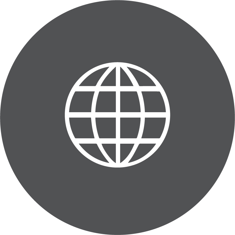 Global Web Icon