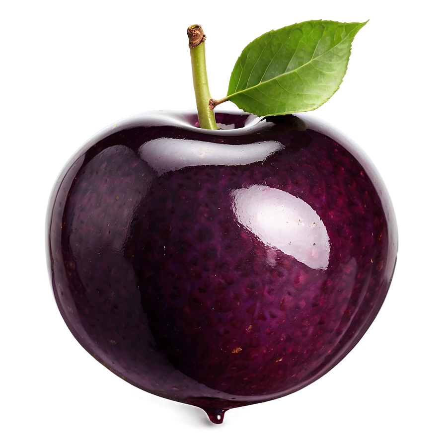 Glossy Plum Png 06122024