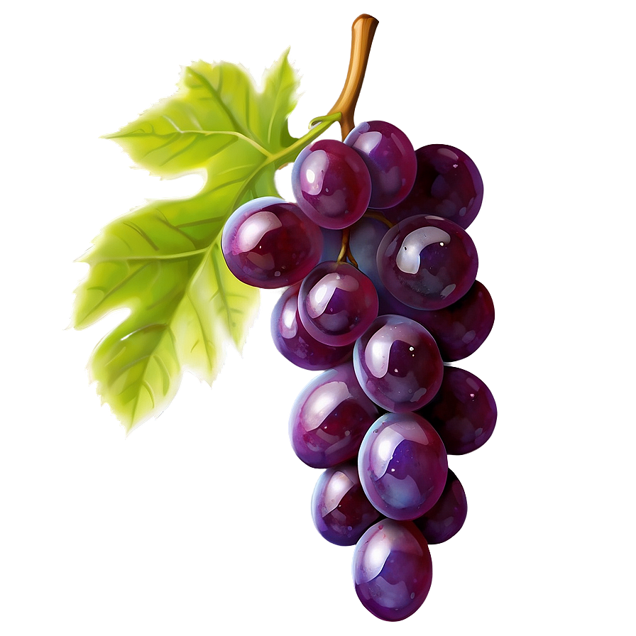 Glossy Shine Grape Png Qxm97