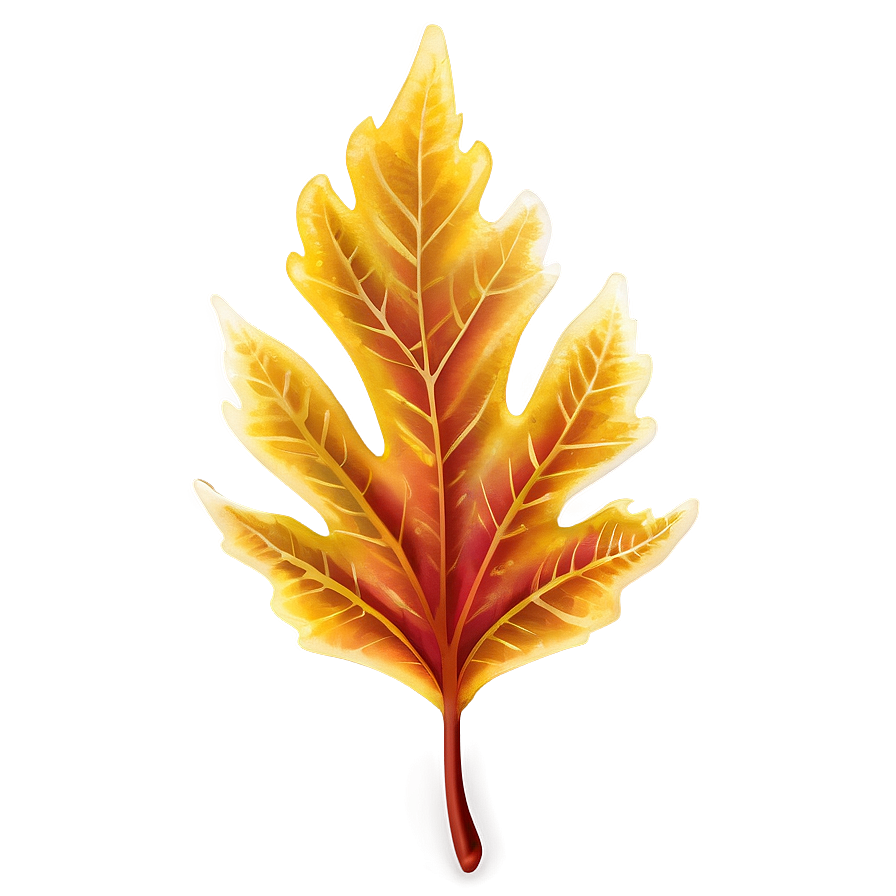 Glowing Autumn Leaf Png 06202024