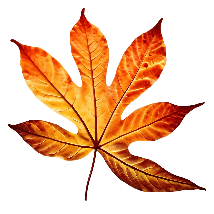 Glowing Autumn Leaf Png 55