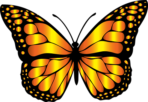 Glowing Butterfly Vector Art