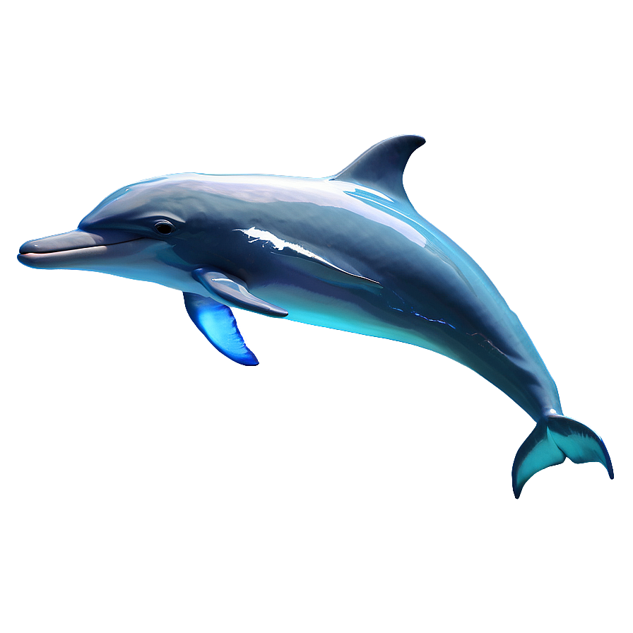 Glowing Dolphins Png 69