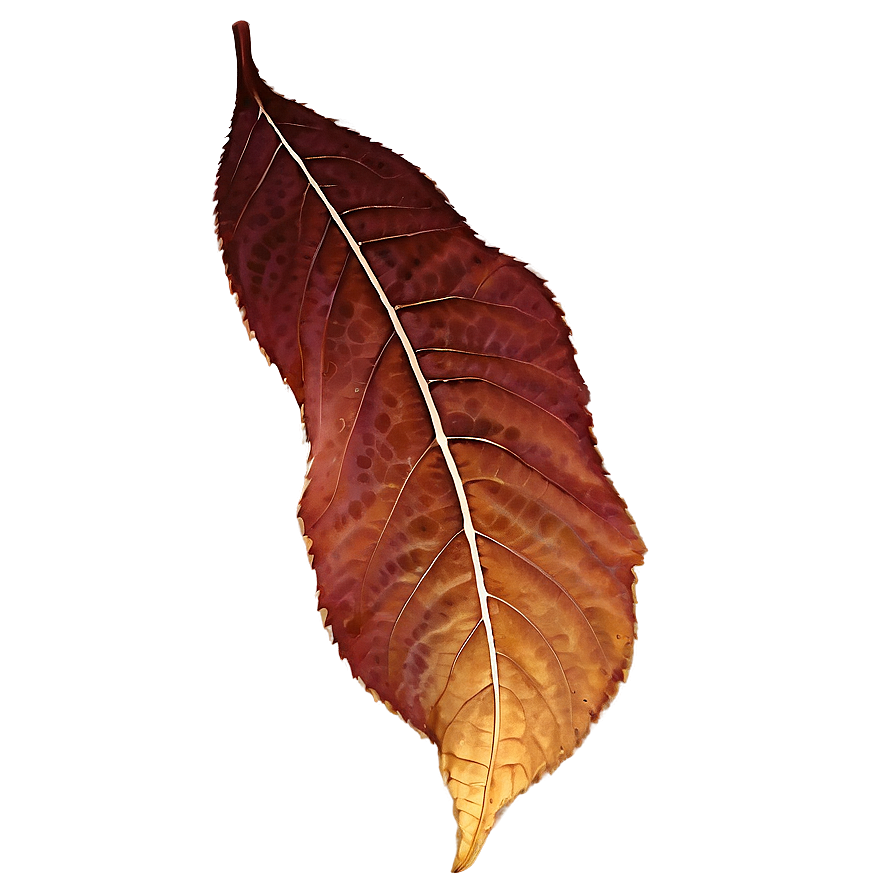 Glowing Fall Leaf Png Fun