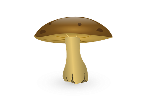 Glowing Mushroom Illustration