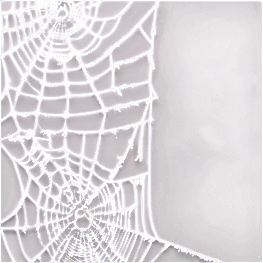 Glowing Spider Web Night