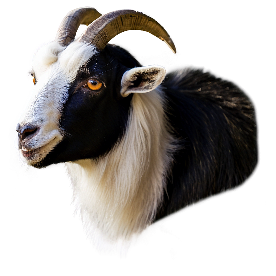 Goat Profile Png 05232024