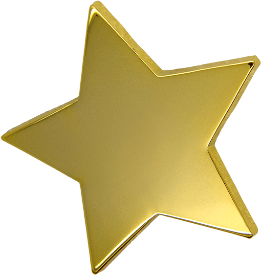 Gold Star Award Icon