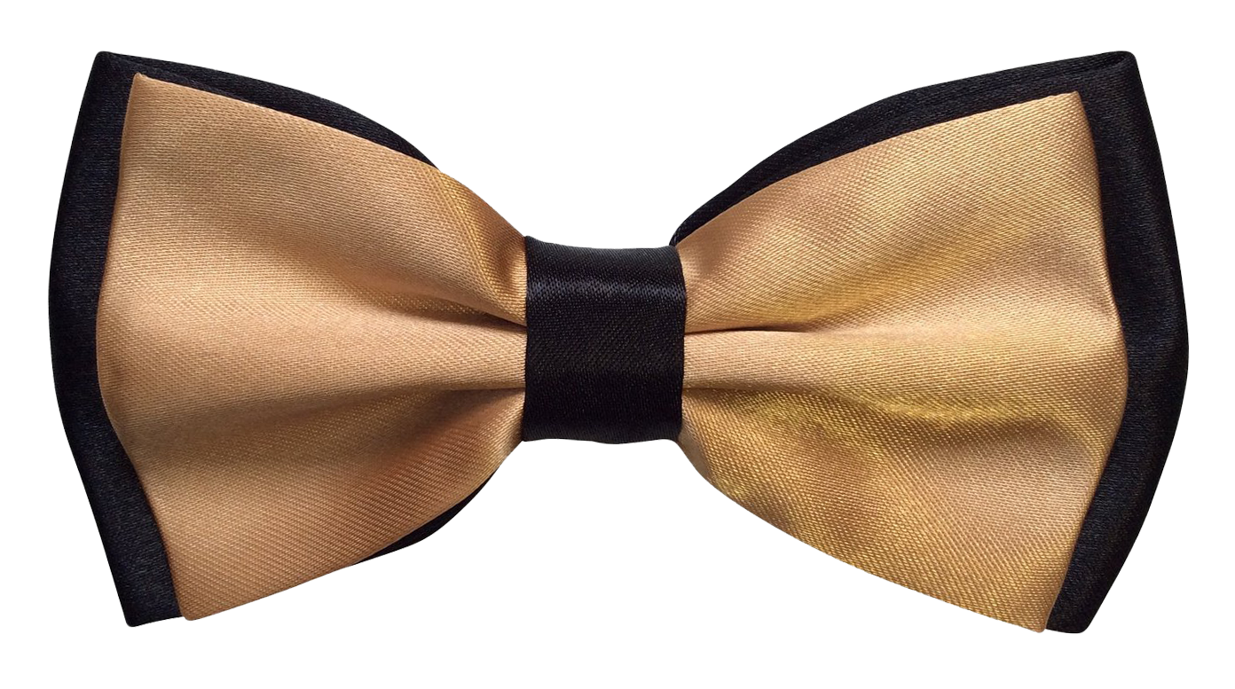 Goldand Black Bow Tie