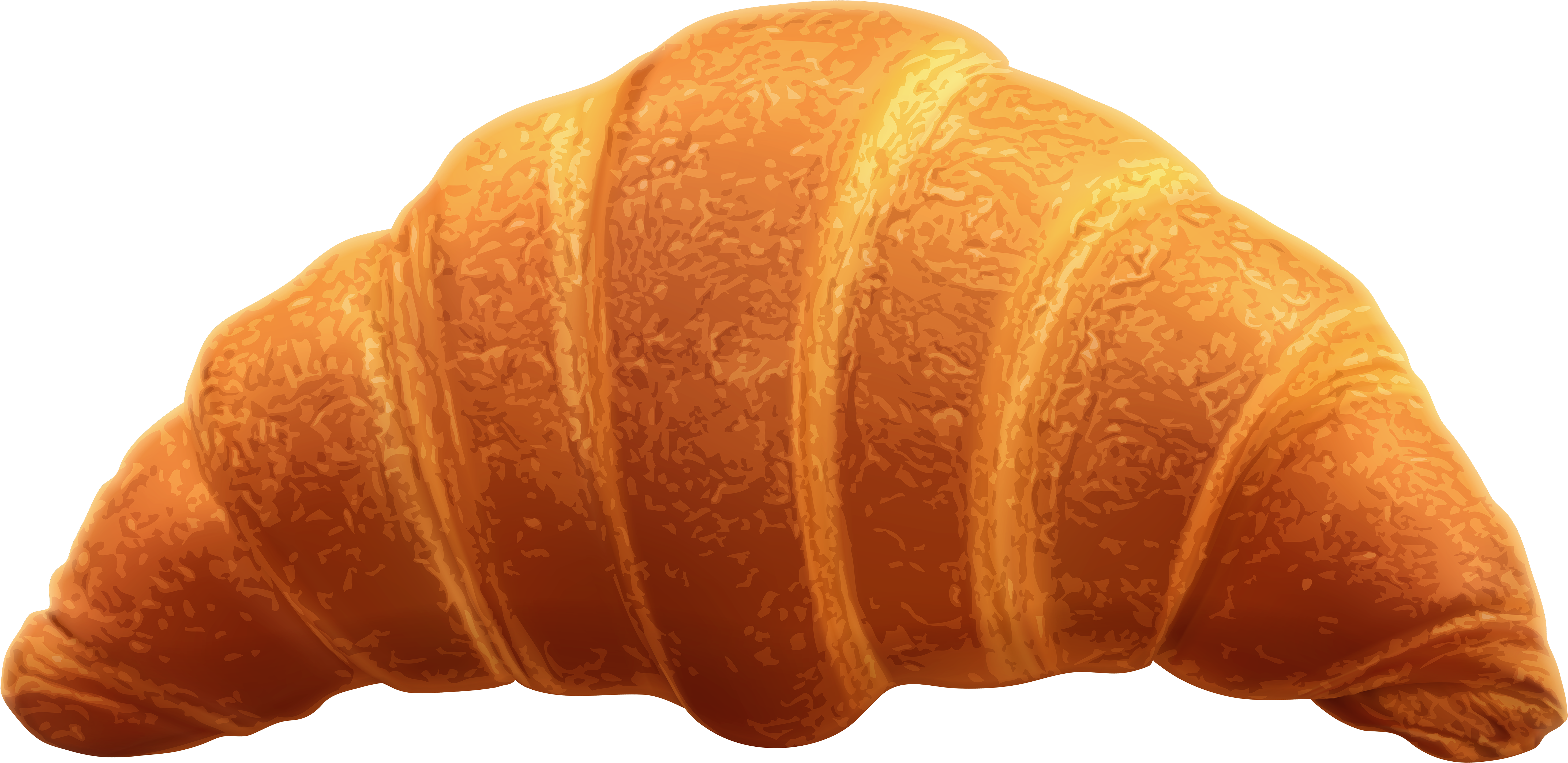 Golden Baked Croissant