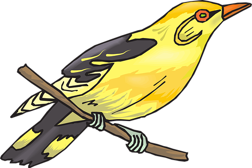 Golden Bird Illustration