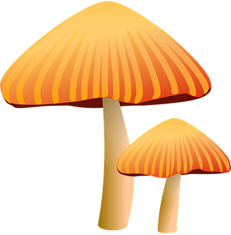 Golden Capped Mushrooms Illustration