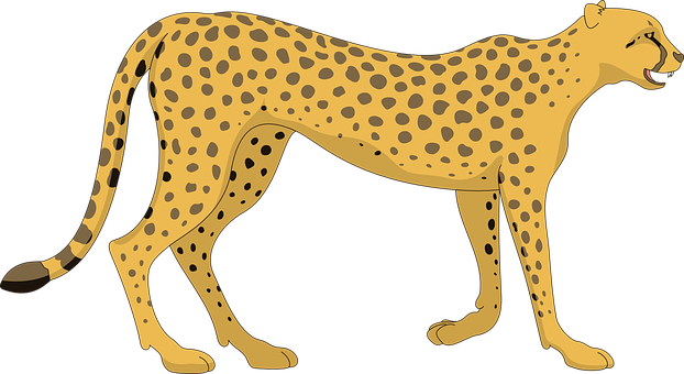 Golden Cheetah Illustration