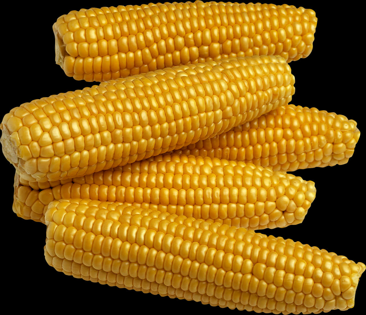 Golden Corn Cobs Stacked