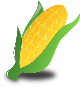 Golden Corn Illustration