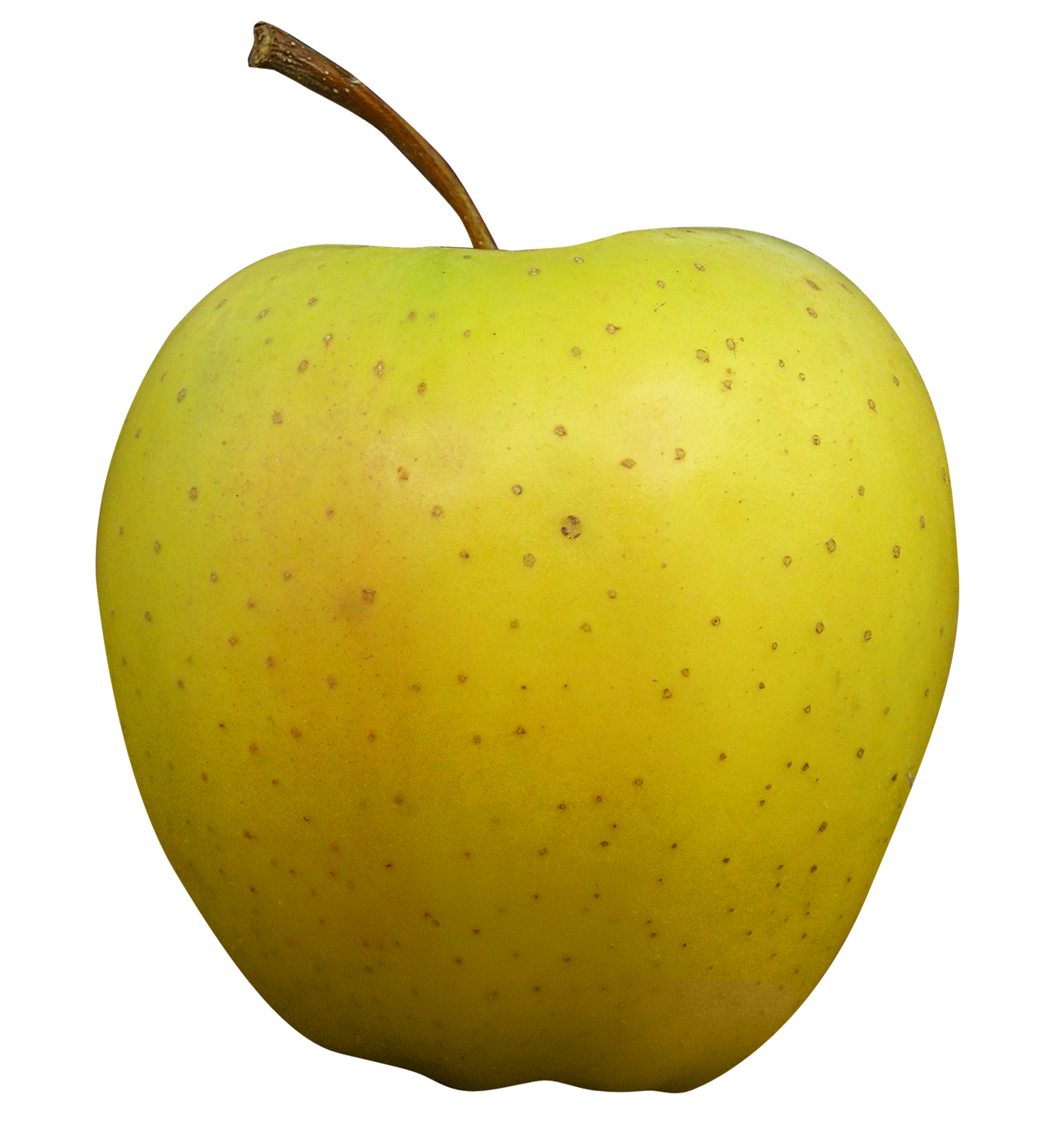 Golden Delicious Apple