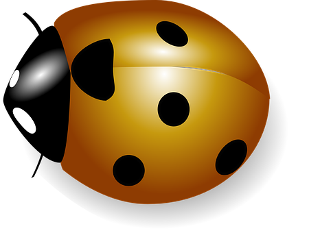 Golden Dice Black Background