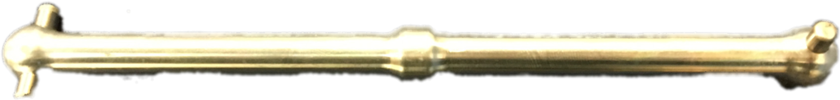 Golden Dog Bone Isolated