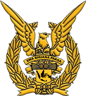 Golden Eagle Air Force Emblem