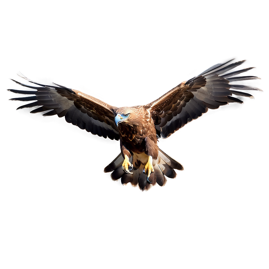 Golden Eagle With Open Beak Png Yog